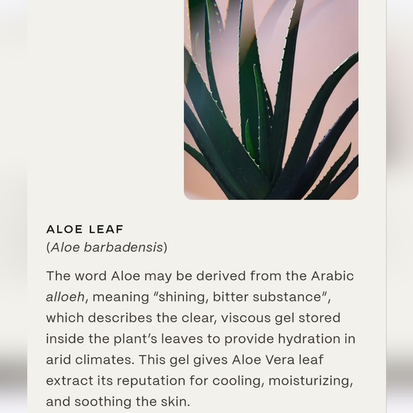 NIB TWENTYNINE PALMS Rock Rose Clay Mask $95 Natural Beauty Skincare - Picture 7 of 7